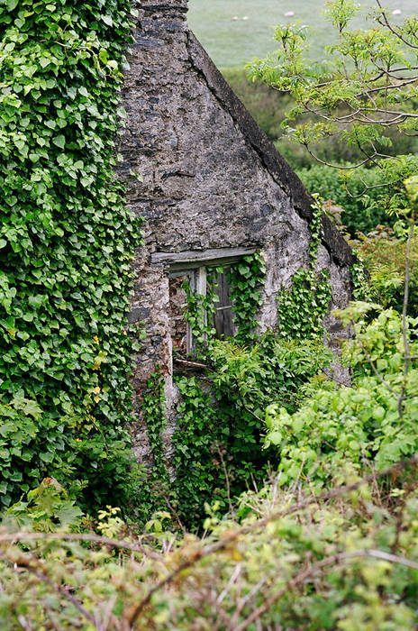 Verfallenes Haus in Irland