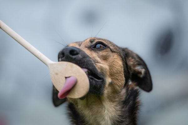 Verflifft, if krieg die feiff Funge nift mehr da rauf!