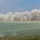 Verflossene/zerflossene Pracht