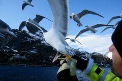 verfressen in Norwegen #3