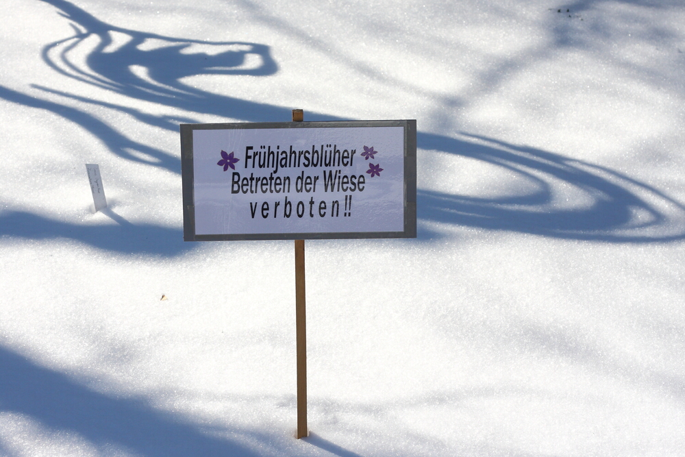 verfrüht
