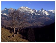 verfrühter Bergfrühling über dem Wäggitalersee