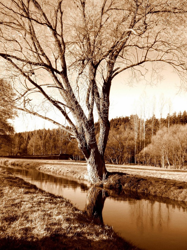 Verfrühter Frühling...schaut raus! Draussen gibt es genug Film!