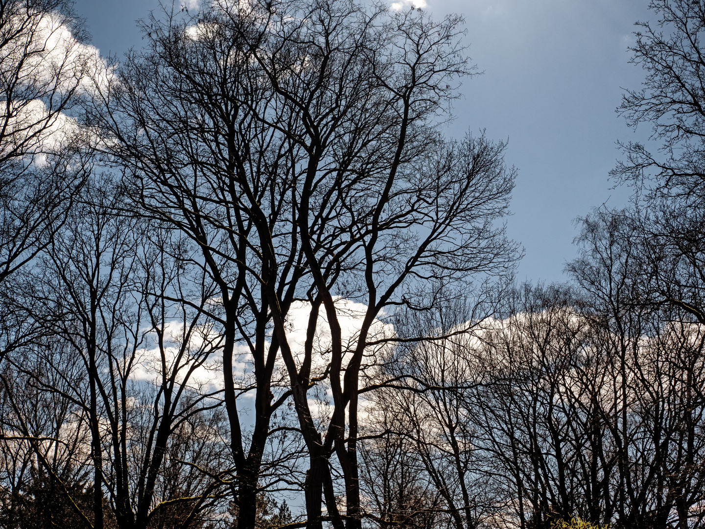 Verfrühtes Aprilwetter: Sonnenphase