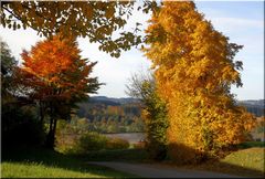 Verführerischer Herbst