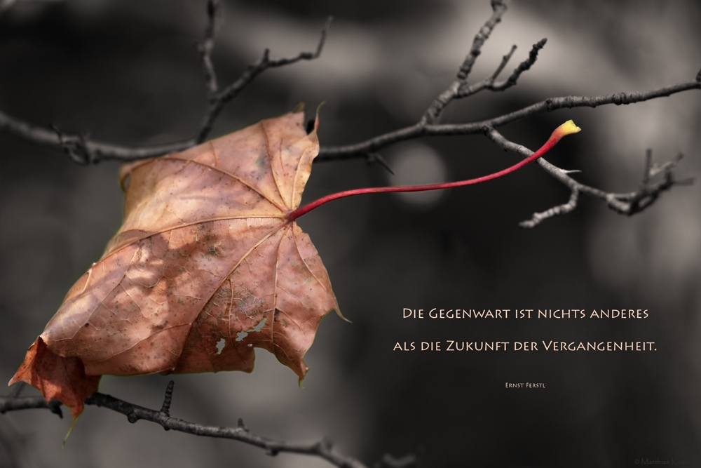 Sprüche Herbst Englisch
