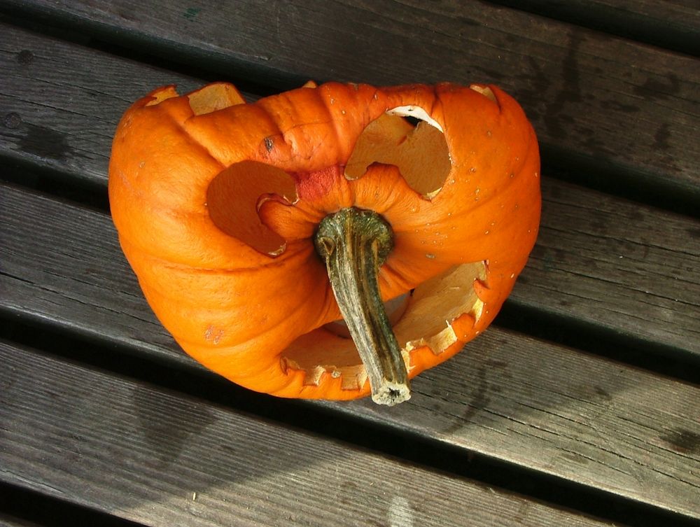 vergänglich  - letzter Gruß von HalloW.....