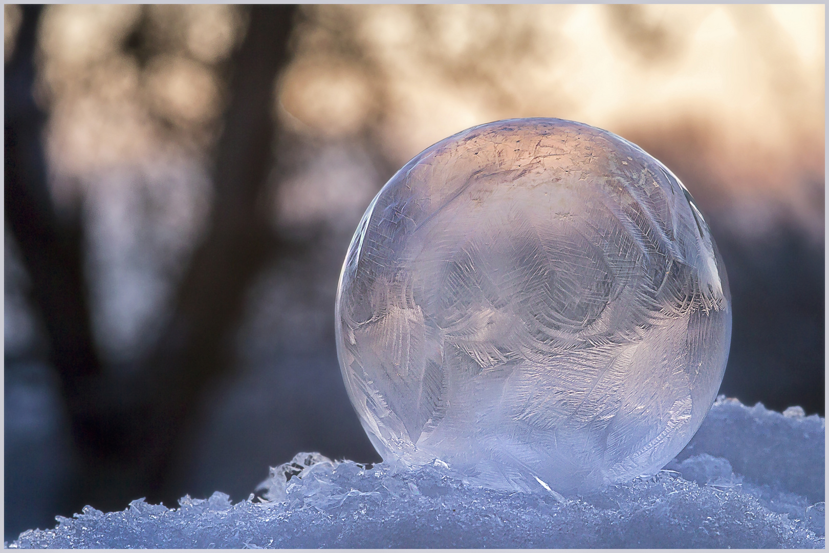 Vergängliche Eiswelt