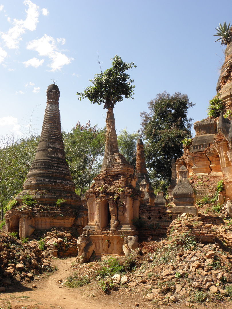 Vergängliche Schönheit M Shwe Inn Tain Pagodenfeld