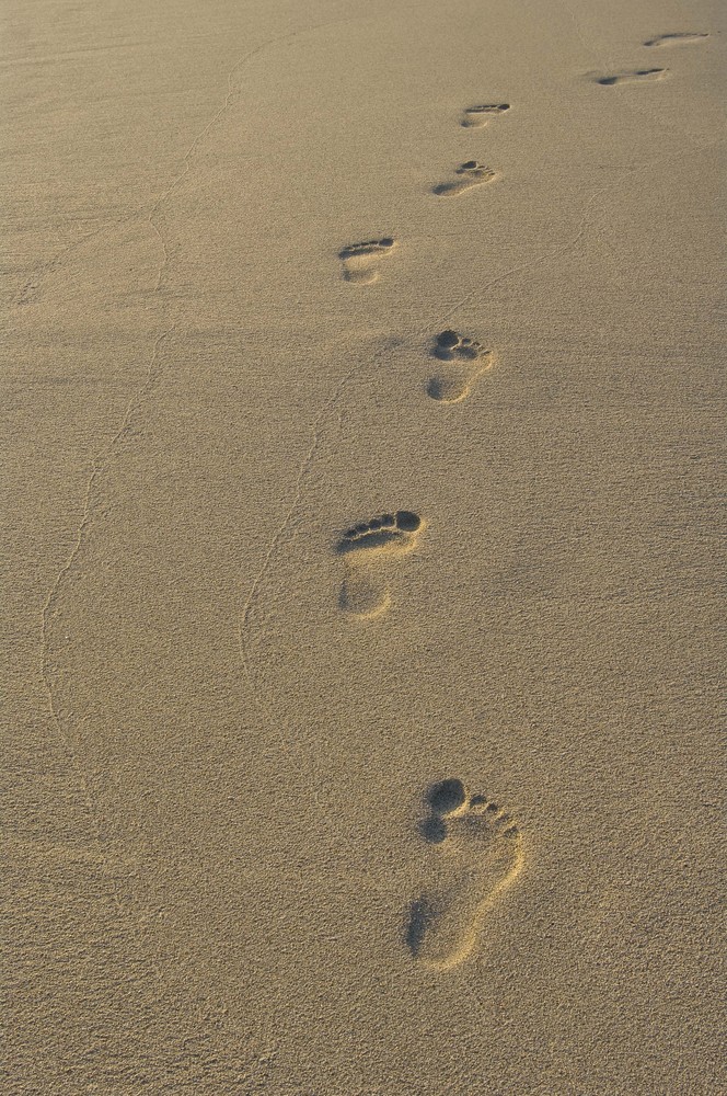 spuren im sand bibelstelle video