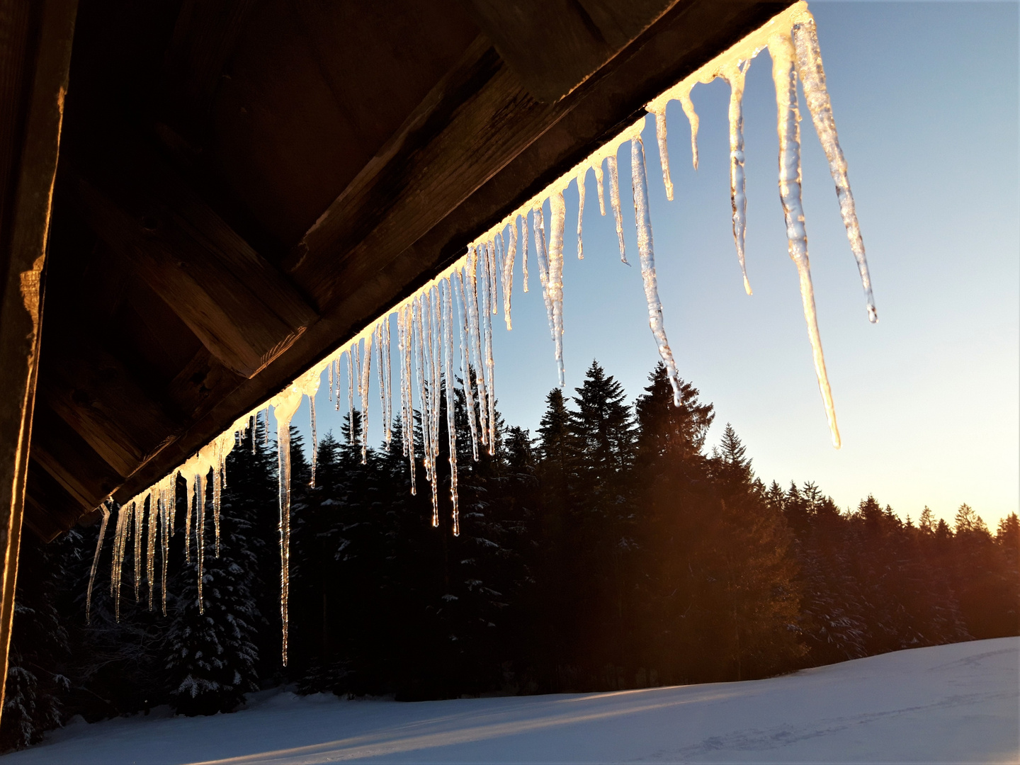 vergänglicher Zauber des Winters