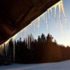 vergänglicher Zauber des Winters