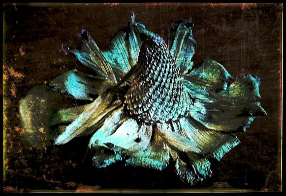 Vergängliches 2.....