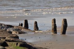 Vergängliches Menschenwerk - die Natur holt sich's zurück!