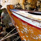 Vergänglichkeit am Meer /im Hafen.