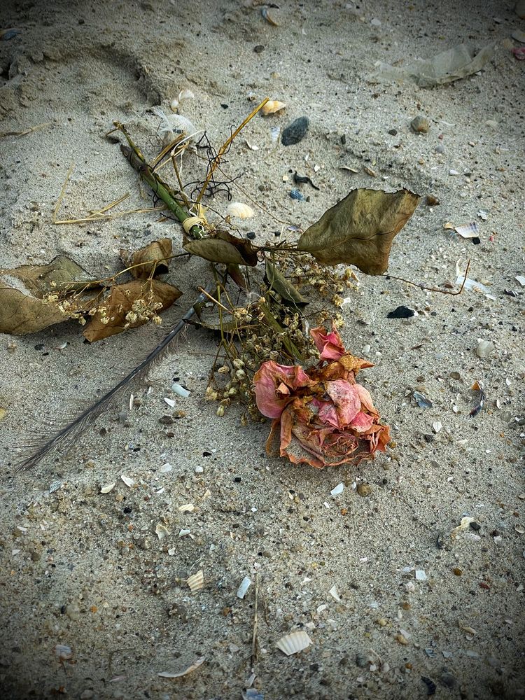 Vergänglichkeit am Strand 