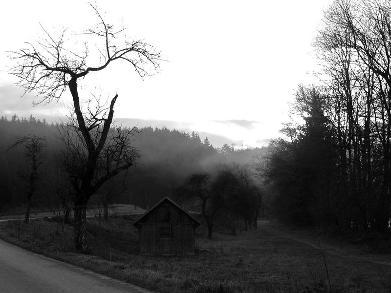 Vergänglichkeit an der Steyr