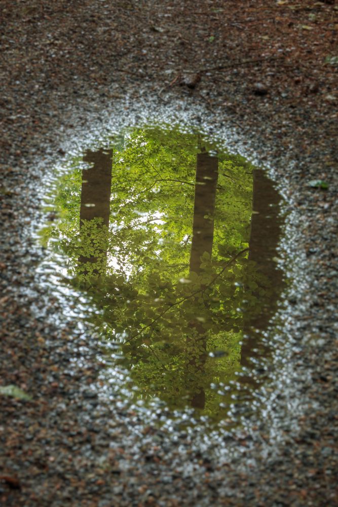 Vergänglichkeit in der Natur, ... nur eine Momentaufnahme