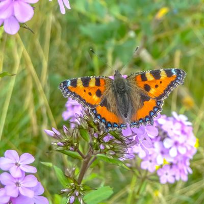 Vergangene Sommerzeit