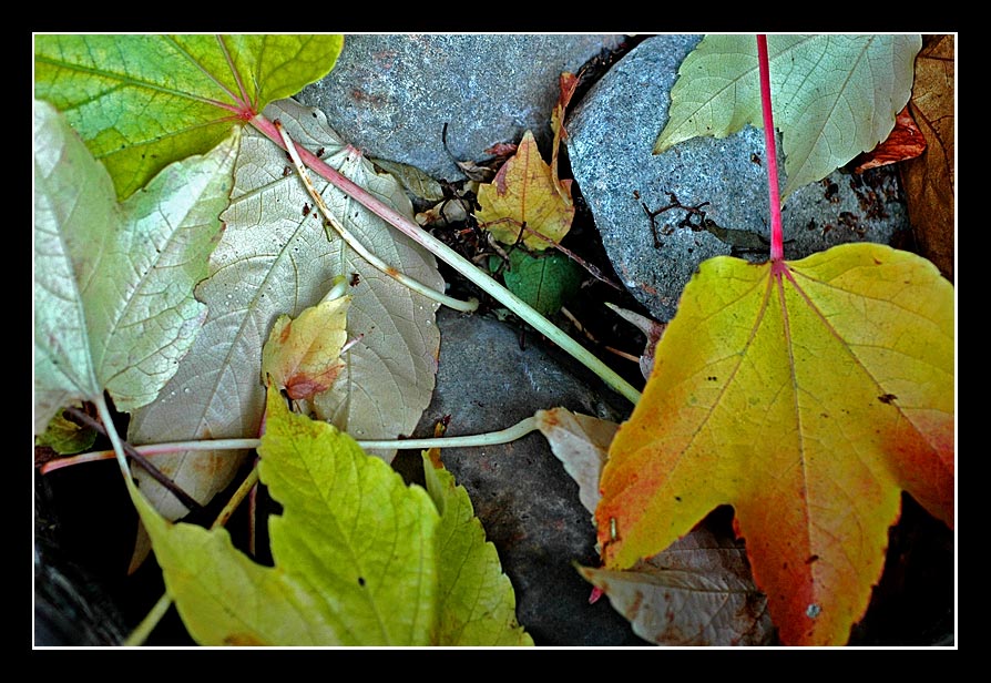 Vergangene Woche....