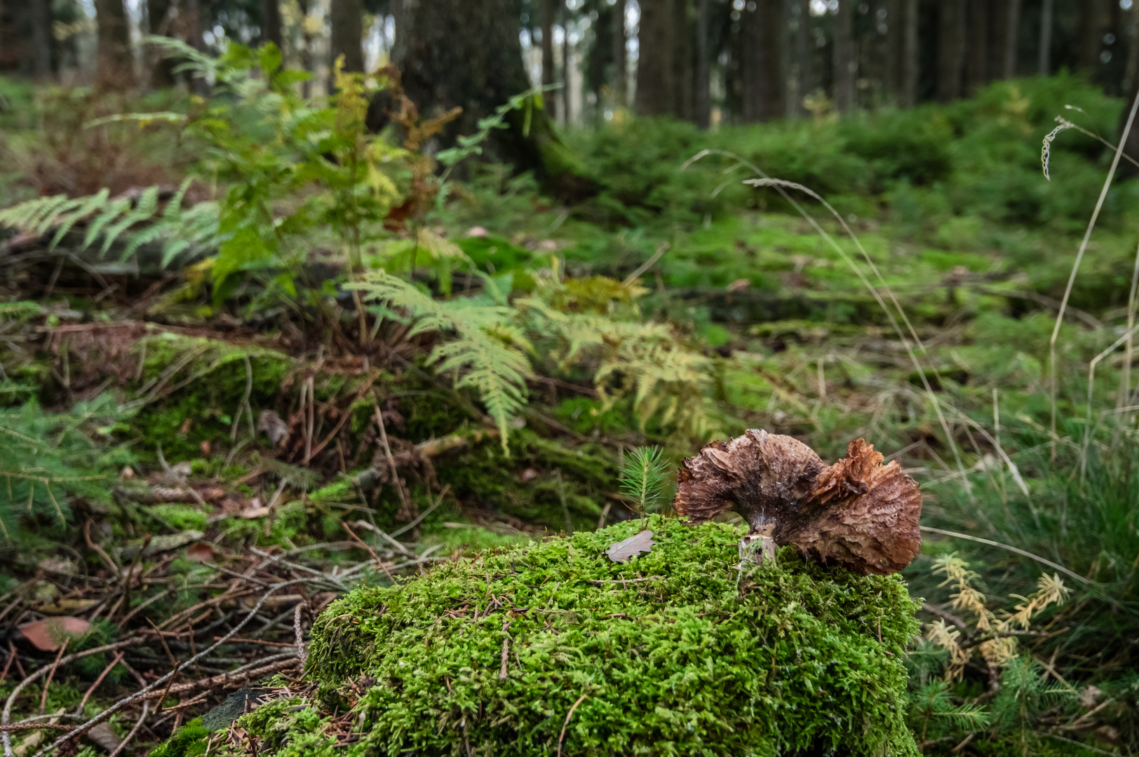 vergangener Glanz