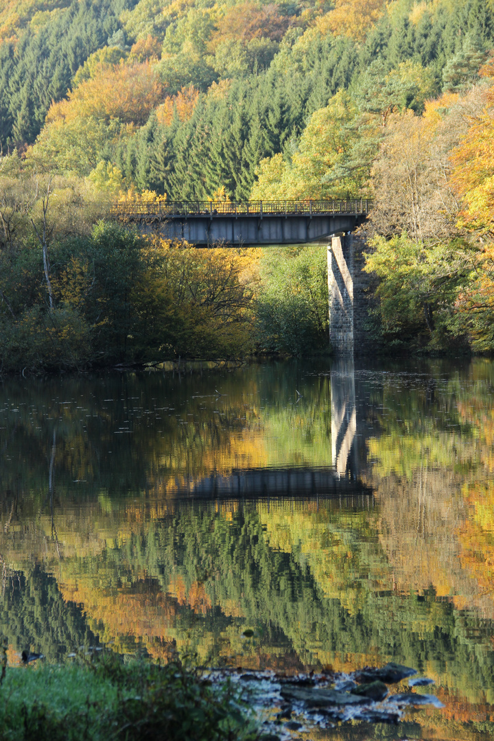 Vergangenheit im Wilhelmstal mit Spiegelung