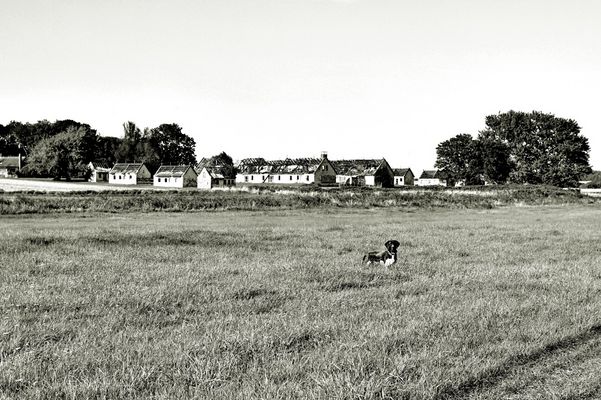 Vergangenheit und Gegenwart