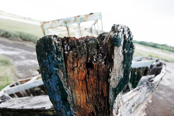 Vergessen 1 / Vergeten 1