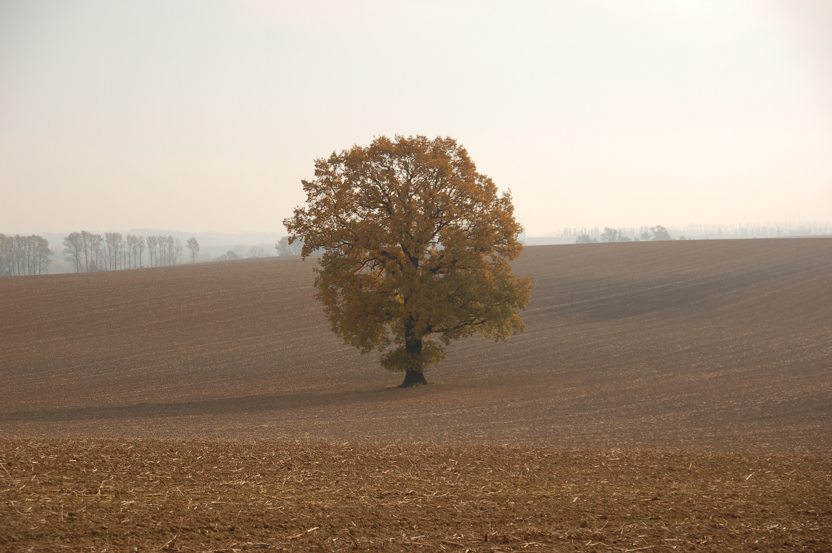 vergessen