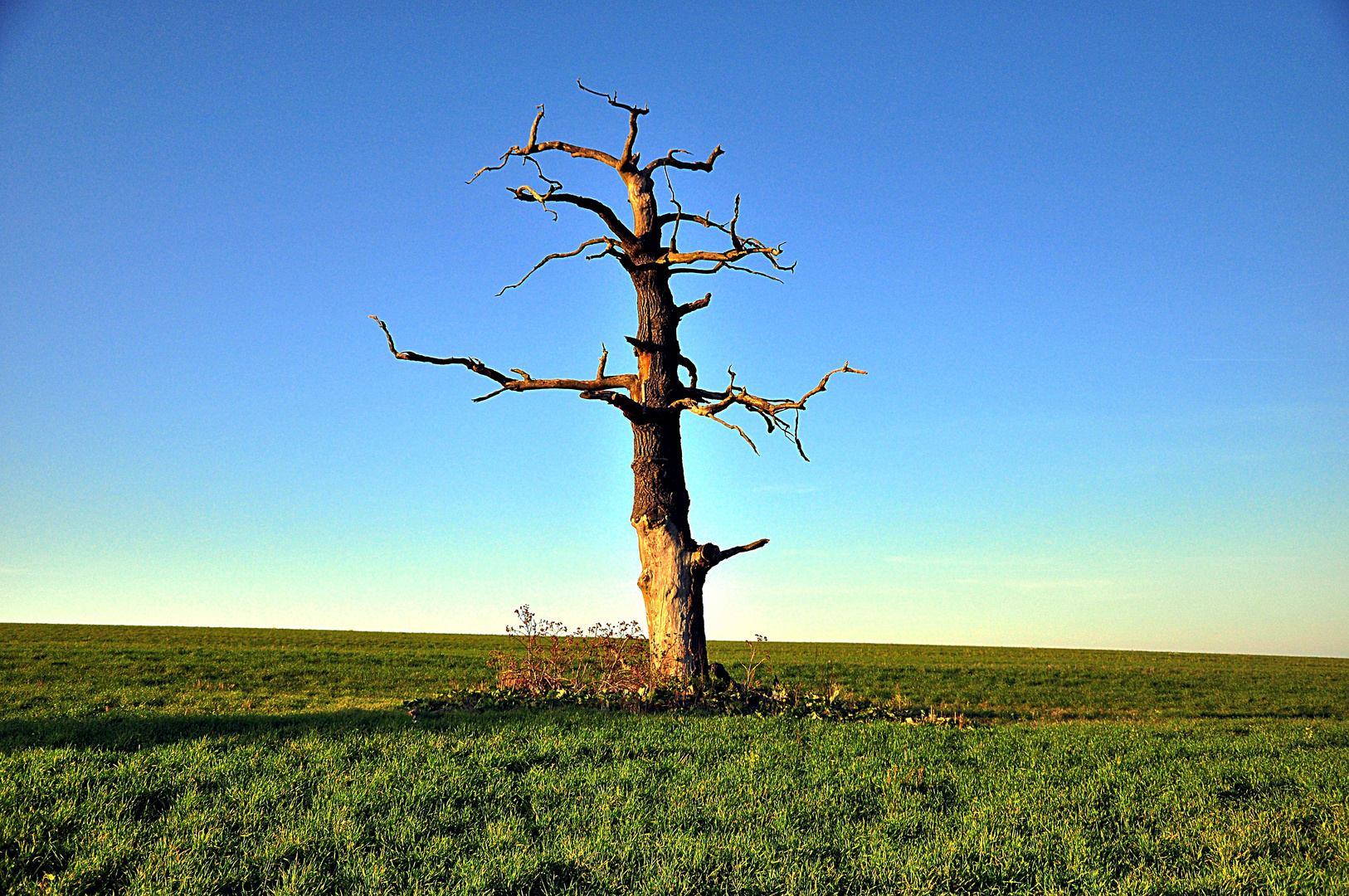 Vergessen