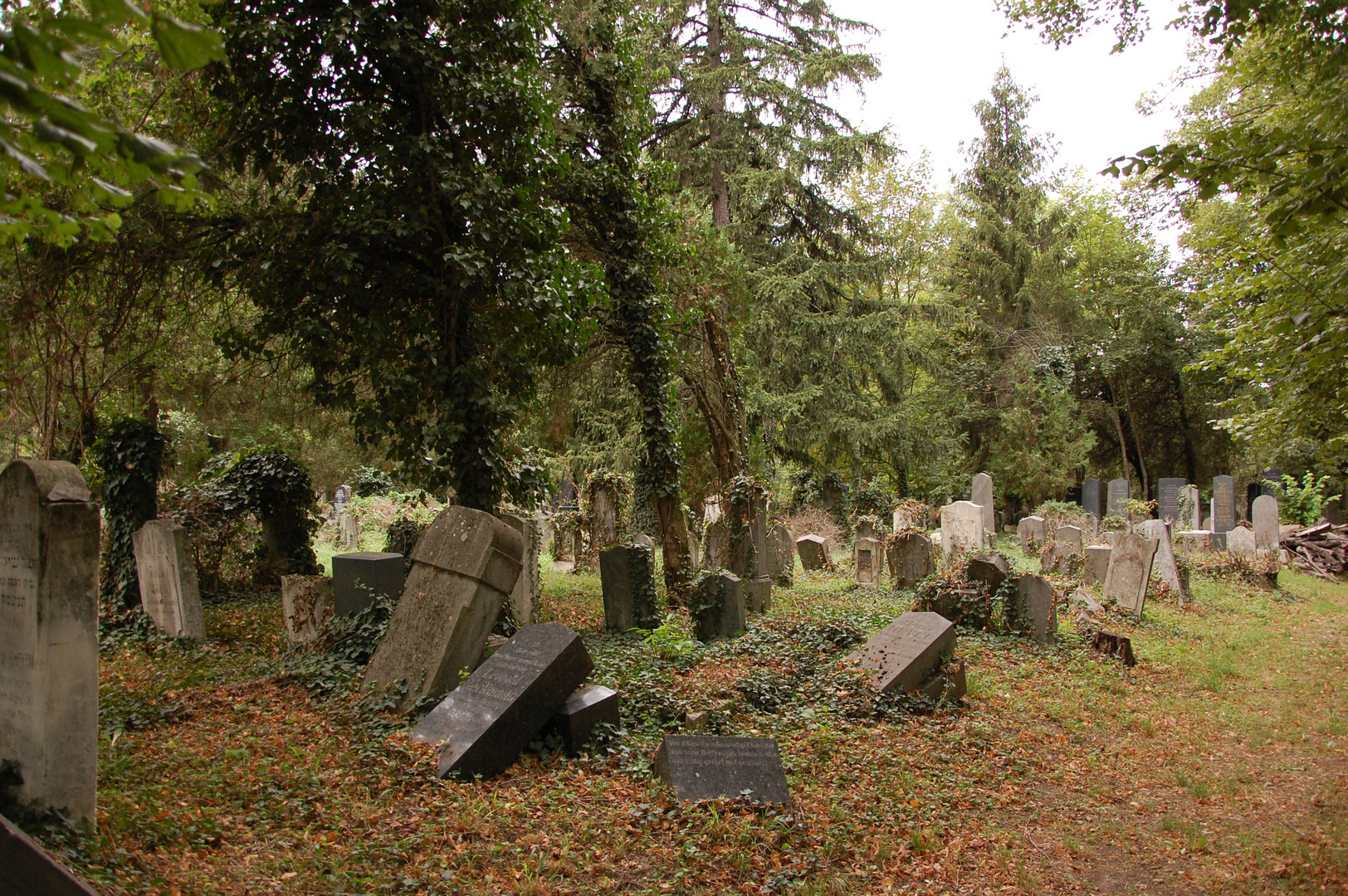 vergessen Gräber auf dem Zentraifriedhof in Wien