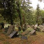 vergessen Gräber auf dem Zentraifriedhof in Wien