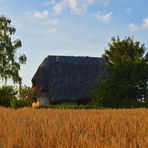 Vergessen im Feld