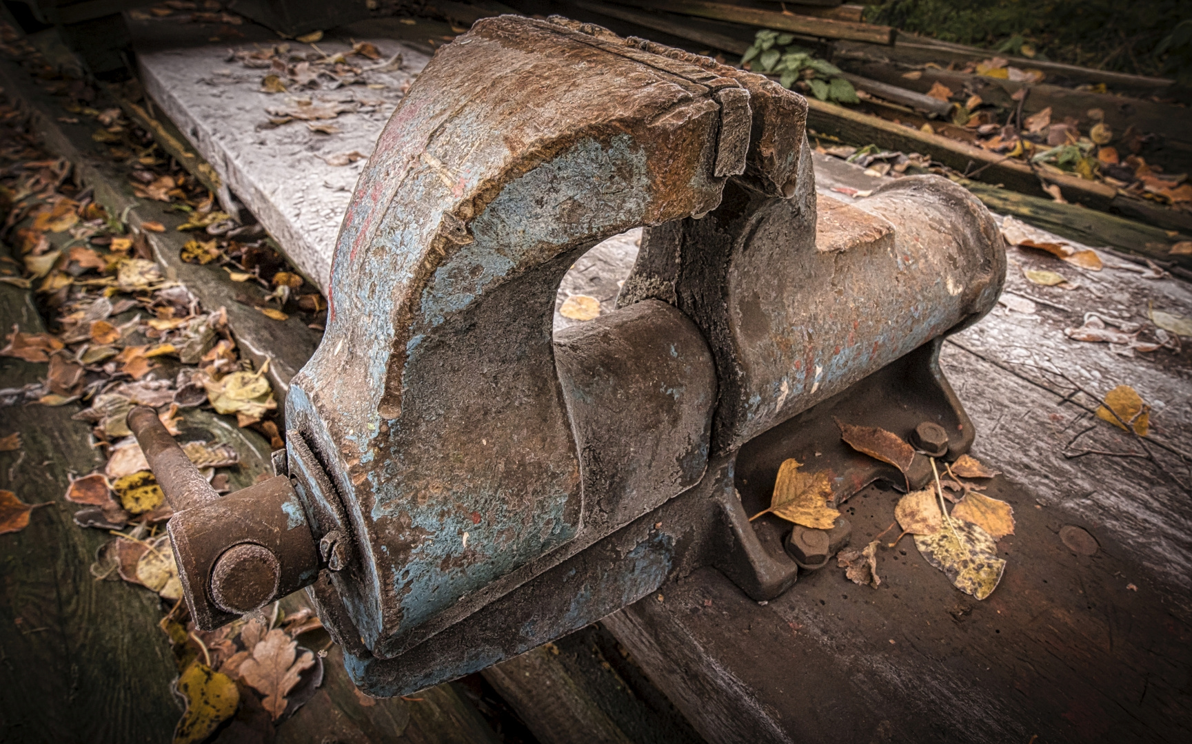 Vergessen im Herbst