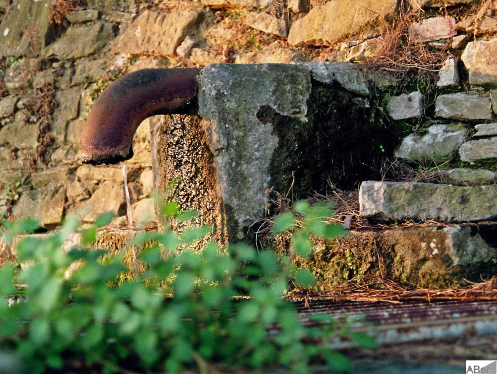 Vergessen im Klostergarten