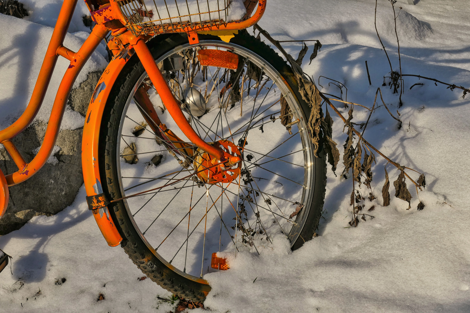 Vergessen im Schnee