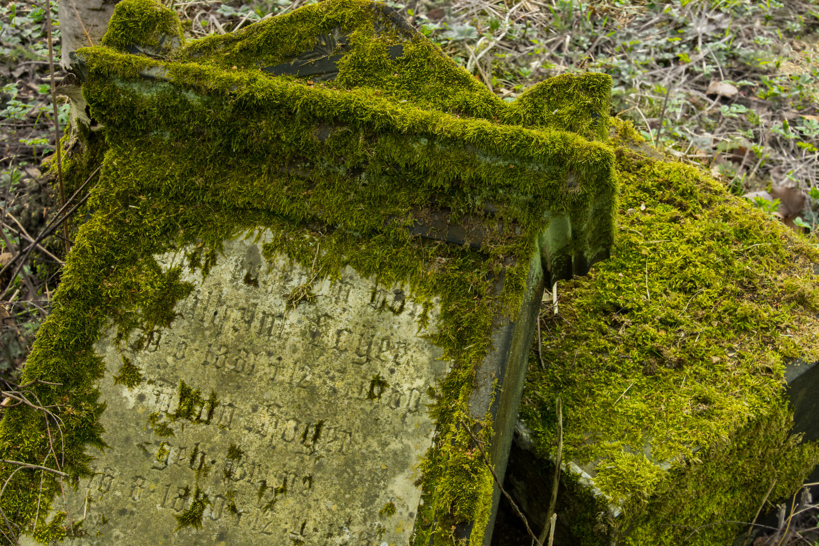 vergessen - Lindener Bergfriedhof/Hannover