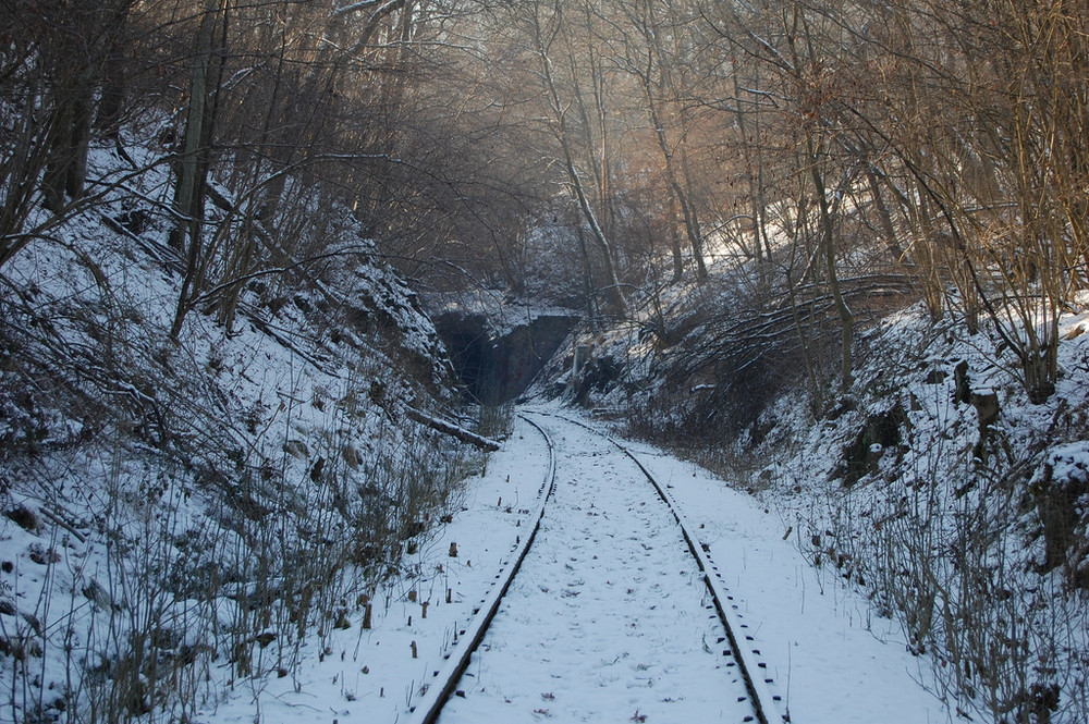 Vergessen und Verfallen