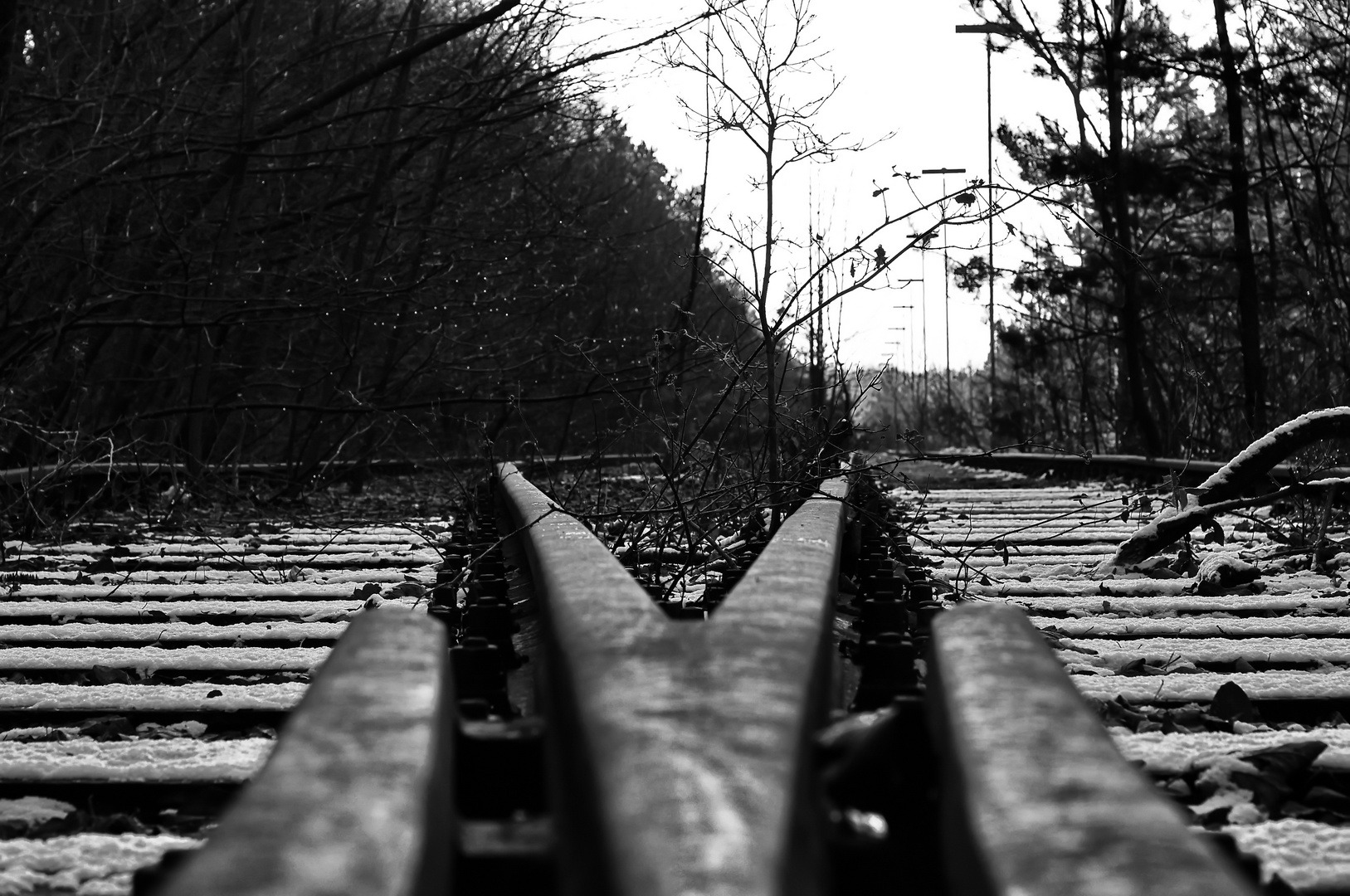 Vergessene Gleise 1 Foto & Bild gleise, eisenbahn, verkehr