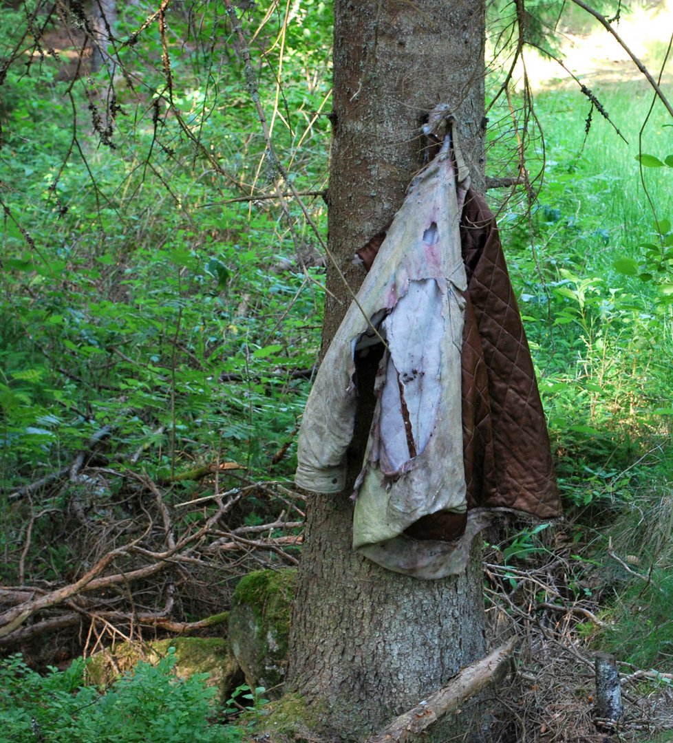 Vergessene Holzfällerjacke im tiefen schwedischen Wald