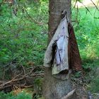 Vergessene Holzfällerjacke im tiefen schwedischen Wald