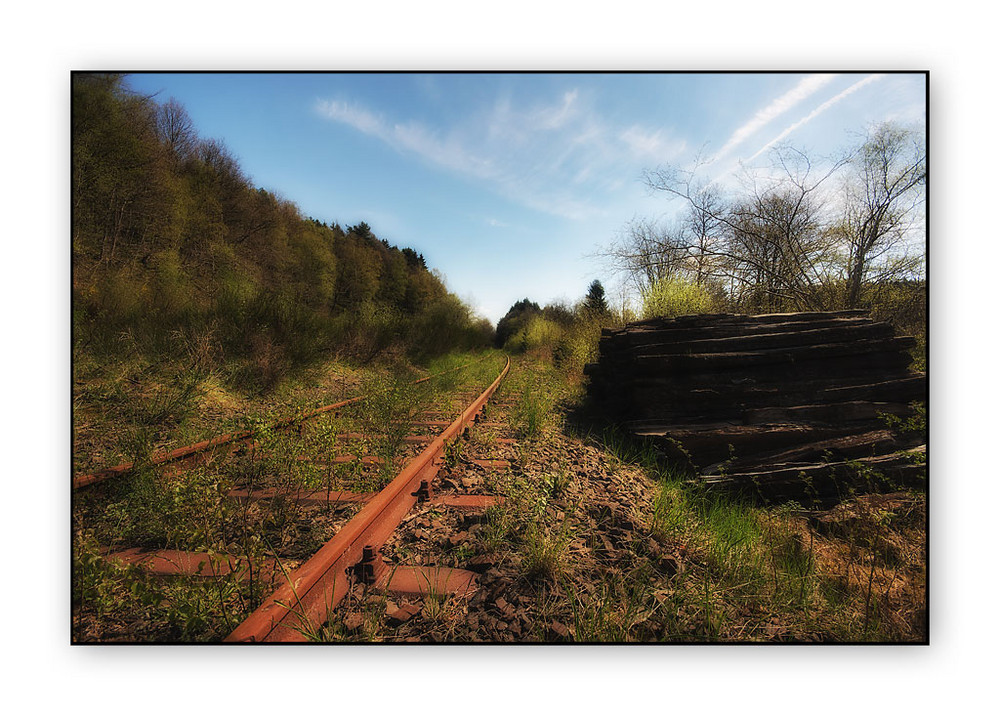 Vergessene Strecke im Wald