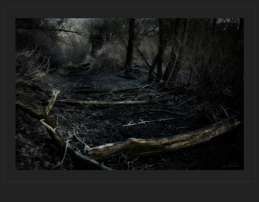 ...vergessene Waldweg...