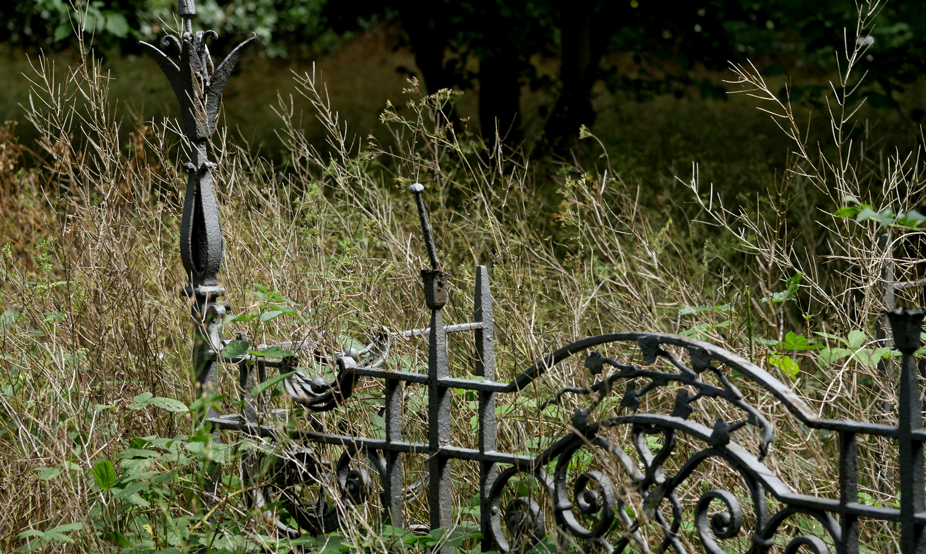 Vergessener Friedhof