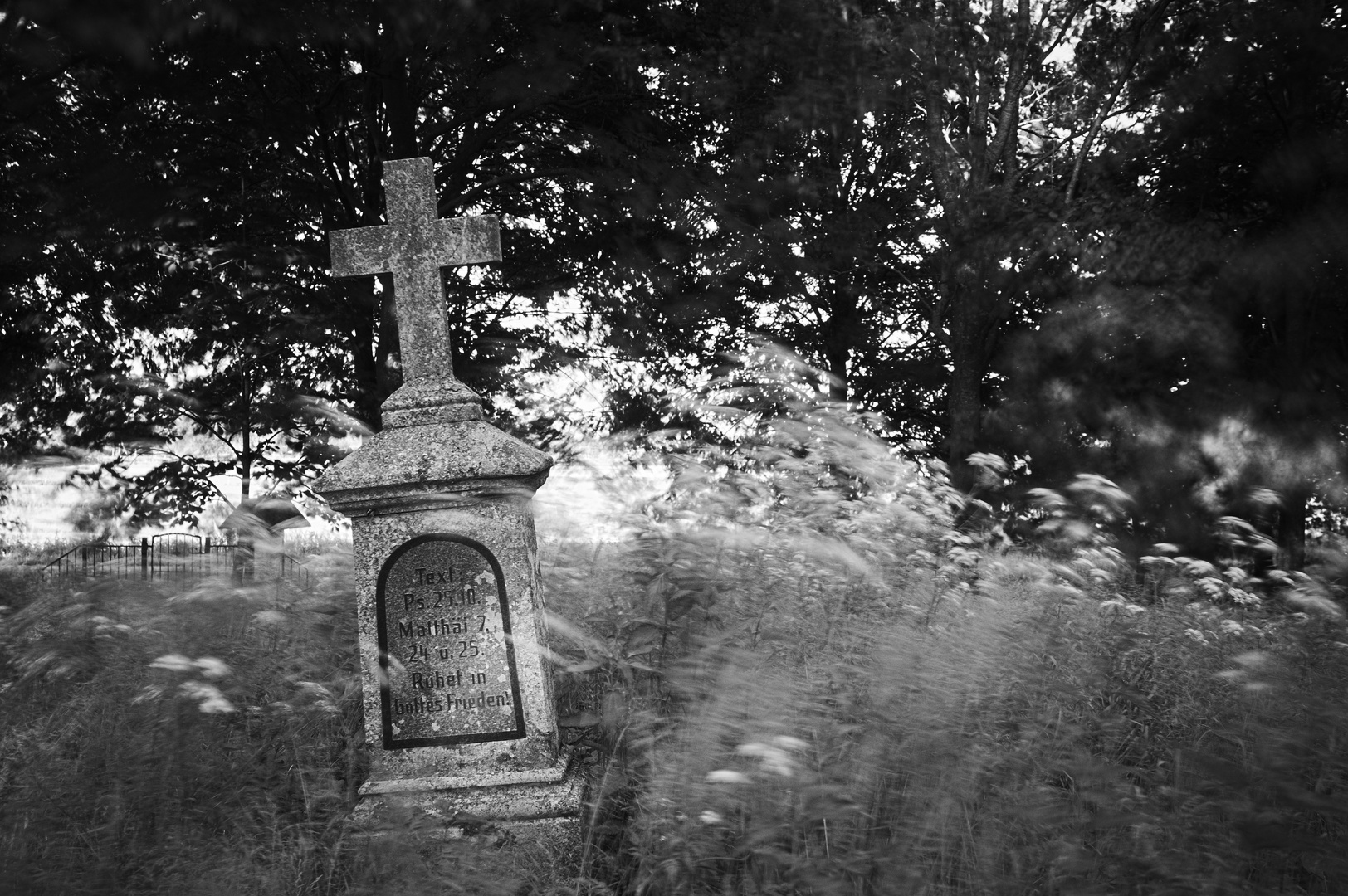 Vergessener Friedhof