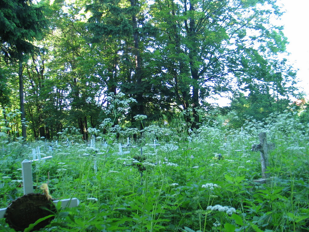 "vergessener" Friedhof in Habelschwerdt