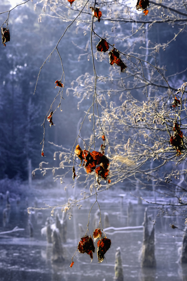 Vergessener Herbst