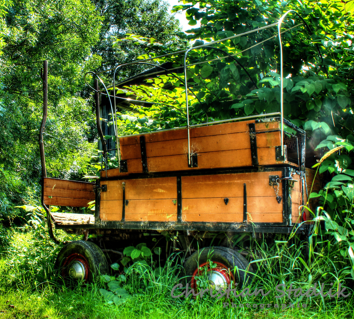 vergessener Kutschenwagen