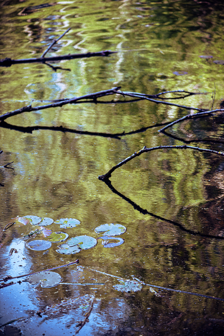 Vergessener Reflexionen der Stille 2