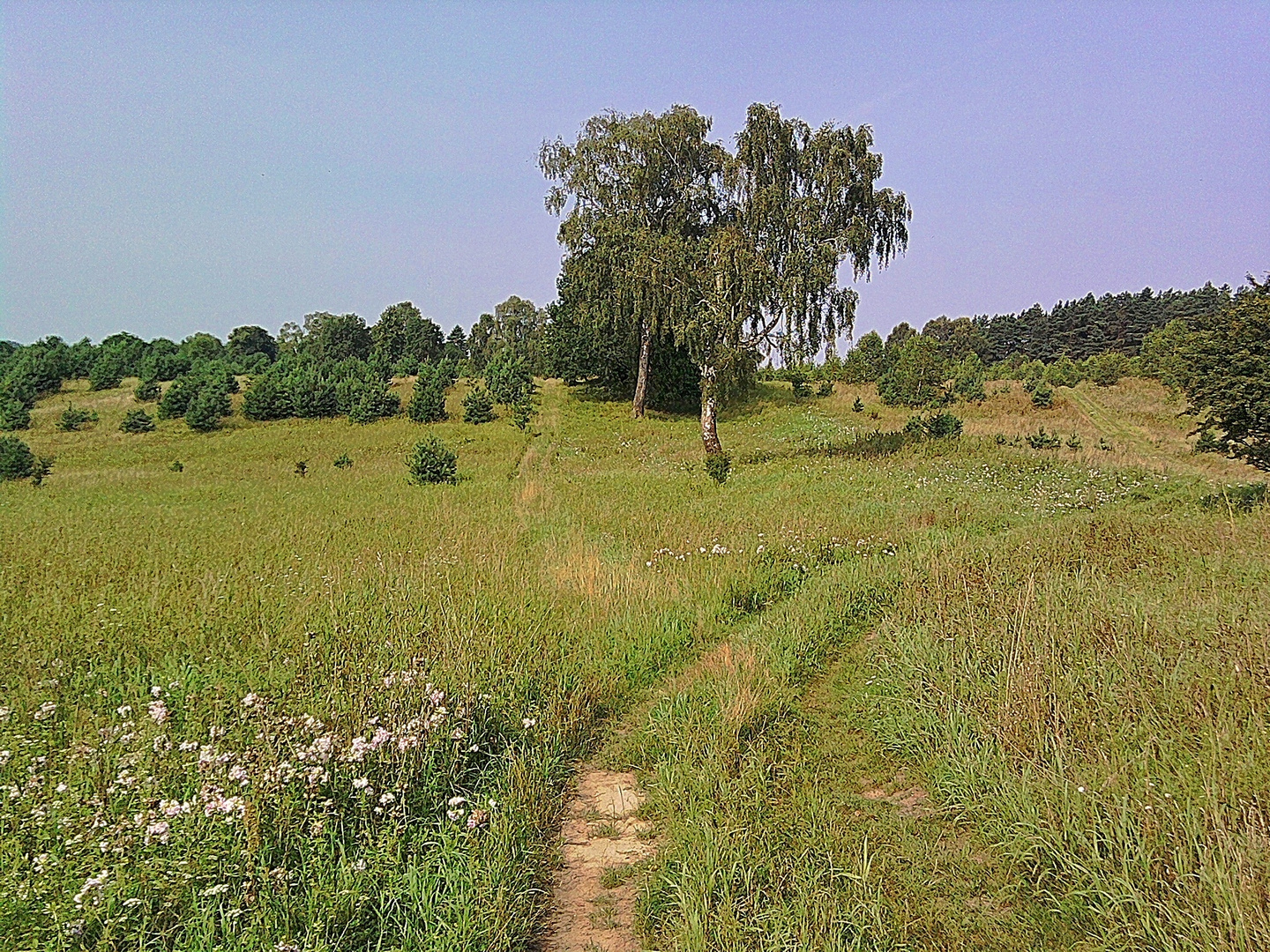 Vergessener Weg